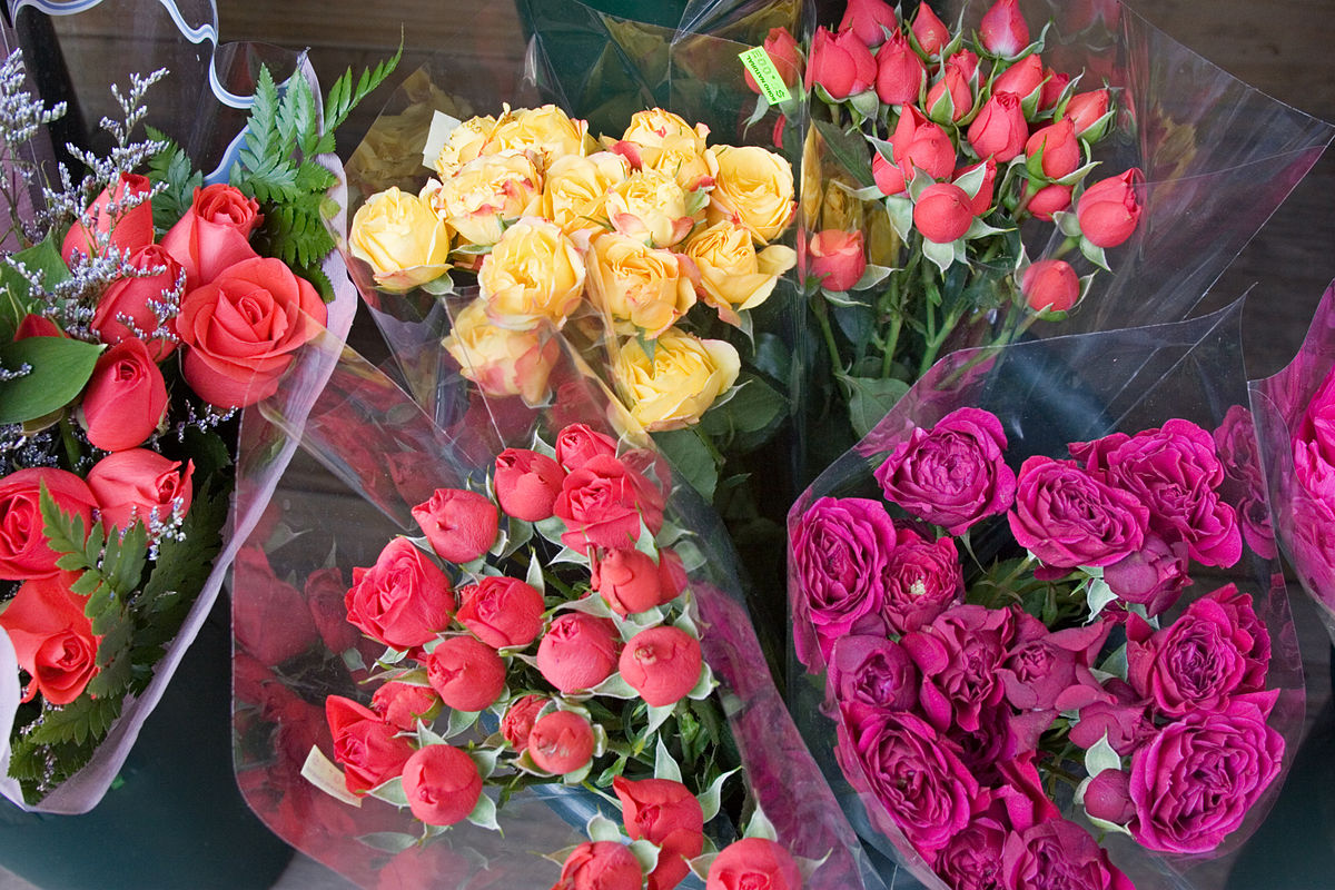 Cuánto cuesta regalar flores por el Día de la Primavera – InfoSur